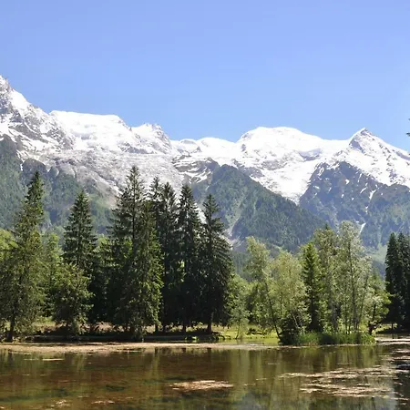 Les Arolles Апартаменты *